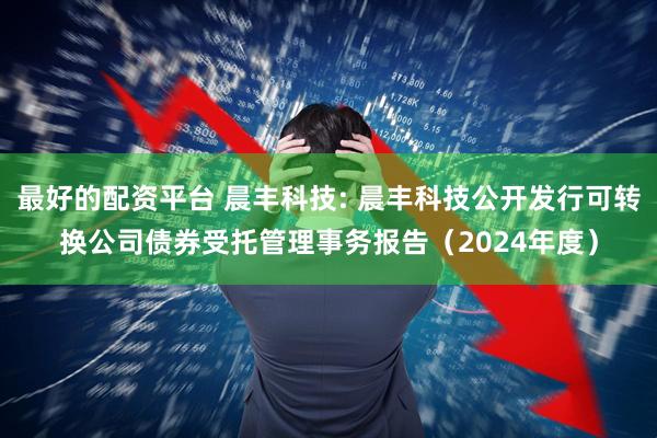 最好的配资平台 晨丰科技: 晨丰科技公开发行可转换公司债券受托管理事务报告（2024年度）